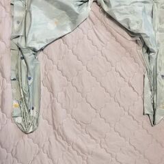 ベビー　蚊帳の画像