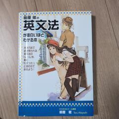英文法が面白いほどわかる本