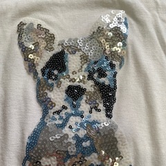 フレブル画スパンコール装飾　Tシャツの画像