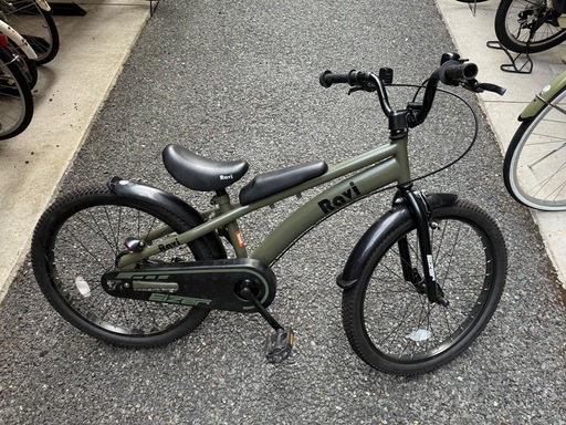 Eizer(アイゼル) 子供用自転車 22インチ グリーン