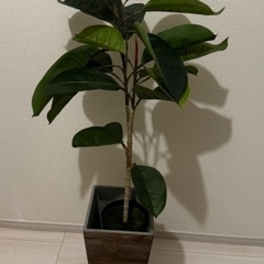 人工観葉植物