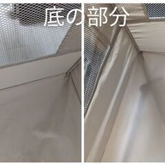 ココネルの画像