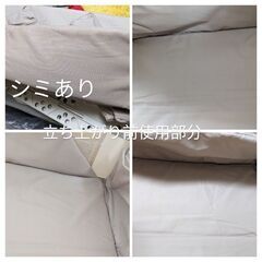 ココネルの画像