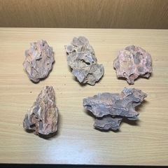 黄孔石　5個セット