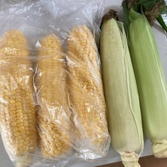 とうきび