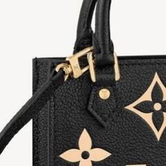 入手困難‼️【日本完売 2024新作コレクション品 ルイヴィトン 2WAYバッグ】正規品の画像