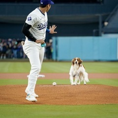 大谷翔平　デコピン　ボブルヘッドの画像