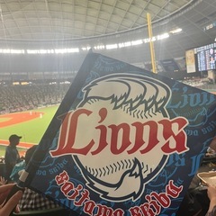 野球観戦しませんか？⚾️ − 東京都