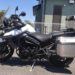 triumph tiger 800 Xrx 2016の画像