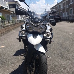 triumph tiger 800 Xrx 2016の画像