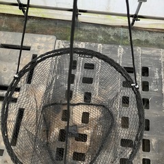 ドロップネット 60cm LE805-1の画像