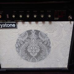 MAVIS タバコサンバーストストラトキャスター＋ギターアンプの画像