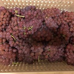 デラウェア訳あり　5kg（4）