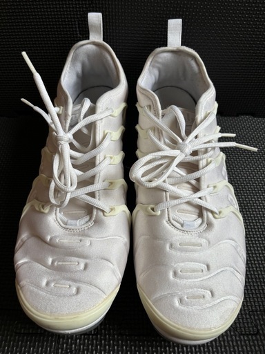 スニーカー NIKE AIR VAPORMAX PLUS 30cm
