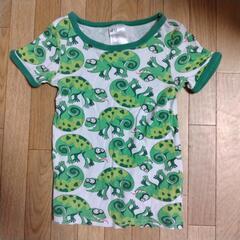 【100cmくらい】Tシャツ　カメレオン