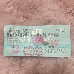 青春18切符 1回分