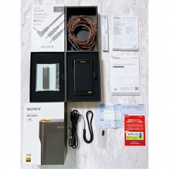 NW-WM1A MDR-Z1R MUC-B20SB1 RMT-NWS20 一式の画像