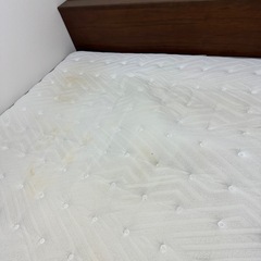 ベット
の画像