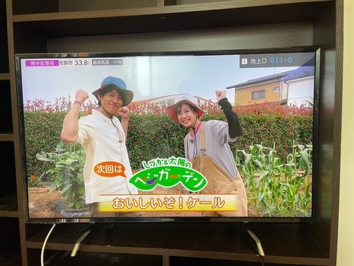 Panasonic 43型 2016年 4K液晶・有機ELテレビ ビエラ