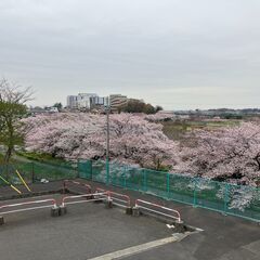 事務スタッフ募集【１〜２日程度／週から可能】の画像