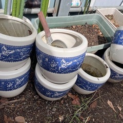 メダカ鉢　火鉢　大量有り