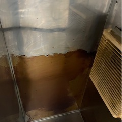 飲食店向けレンジフード清掃  今ならお得!!