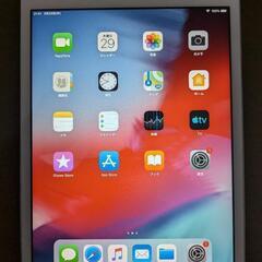 iPadmini2