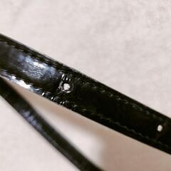 ピンキー＆ダイアン ベルトの画像