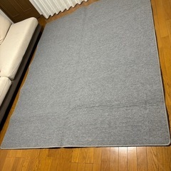 ホットカーペットの画像