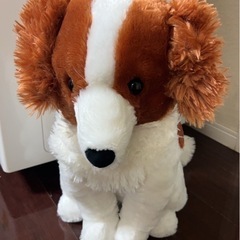 セール‼️大谷翔平の愛犬デコピン