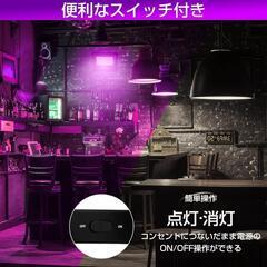 ✨未使用品✨紫外線 ブラックライト 30W 投光器 365-405nmUV　№229の画像
