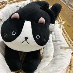 【美品】ネコのぬいぐるみの画像