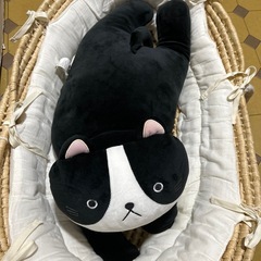 【美品】ネコのぬいぐるみの画像