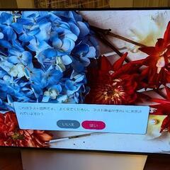 【早期引取可能なら値引き可】パネル新品交換済み　LG有機ELテレビ　OLED55C7Pの画像