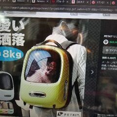 PETKIT　ペット用　リュックサック　電動空調付属の画像
