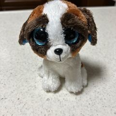 ty ぬいぐるみ