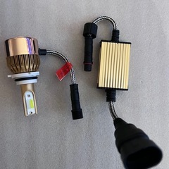 ROYAL GUARD ロイヤルガード ホワイトイエロー 9006の画像