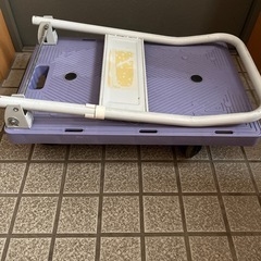 沢山の問い合わせありがとうございました　お譲り先決まりました　
...