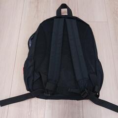 インセクトコレクション　ホタルのアダム　暗闇で光るリュックの画像