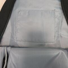 インセクトコレクション　ホタルのアダム　暗闇で光るリュックの画像