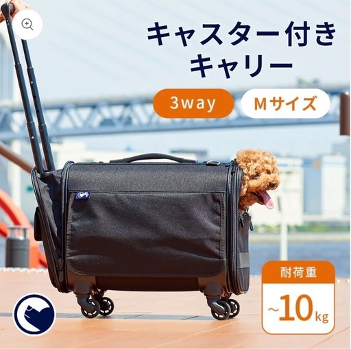 OFTキャリーバッグ(M).