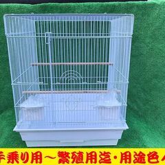 バードセレクション中型インコ！B-465S・手乗り用～繫殖用・観...