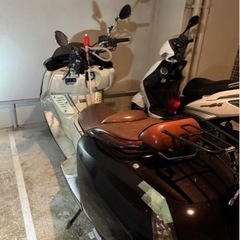 マグザム250
