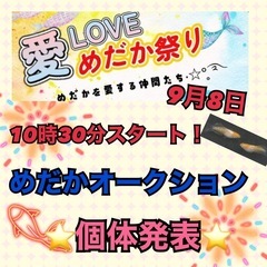 9月8日💖オークション個体発表🔥🔥