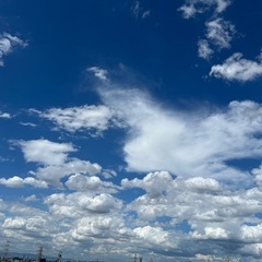 70代くらいのお友達募集🌼*･