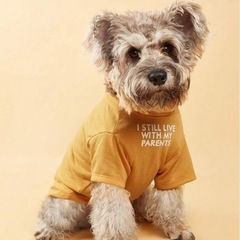 ★格安で4枚セット⤴︎︎⤴︎︎ドッグウェア　犬　服