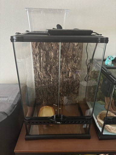 エキゾテラ3045等