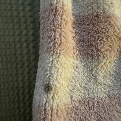 ジェラートピケ ルームウェアの画像