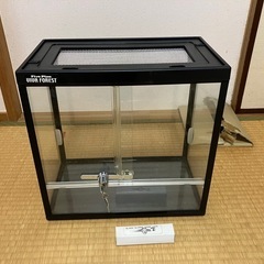 飼育ケース （昆虫&小型爬虫類・両生類）GEXビバフォレストＳ