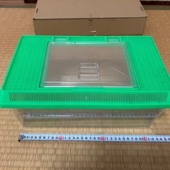 【0円差し上げます】飼育ケース（プラスチック製浅型）